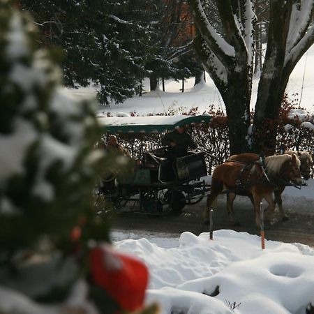 Pension Wolfgangsee Saint Wolfgang Exteriér fotografie